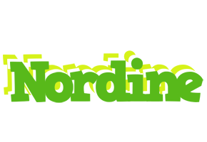 Nordine picnic logo