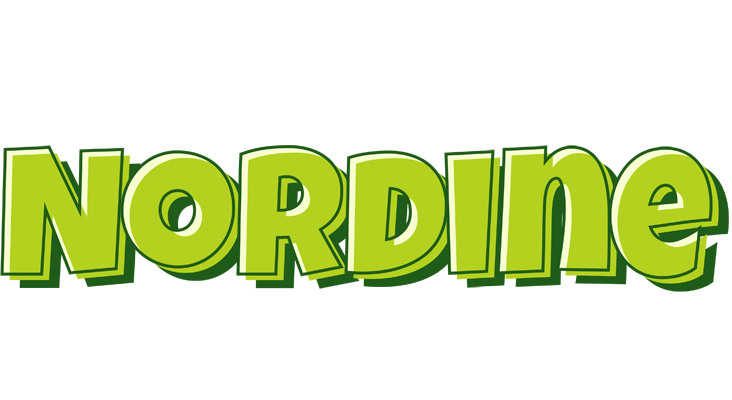 Nordine summer logo
