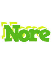 Nore picnic logo