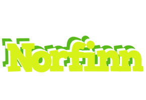 Norfinn citrus logo