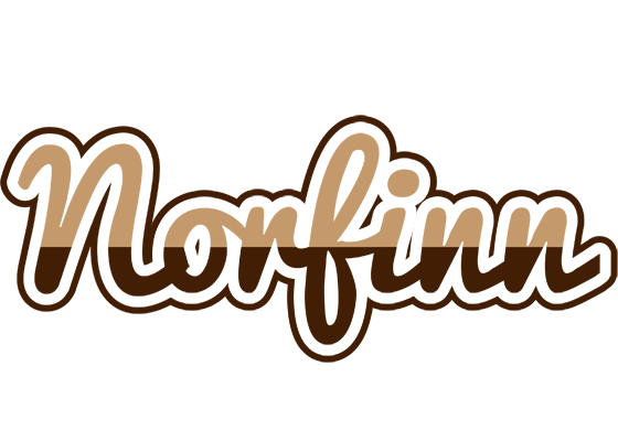 Norfinn exclusive logo