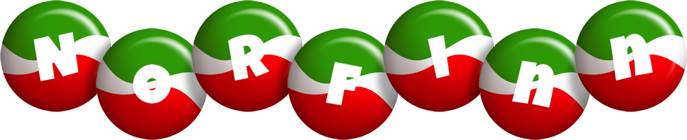 Norfinn italy logo