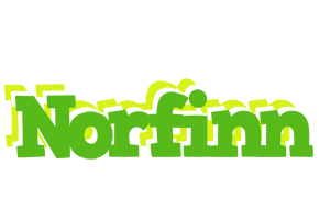 Norfinn picnic logo