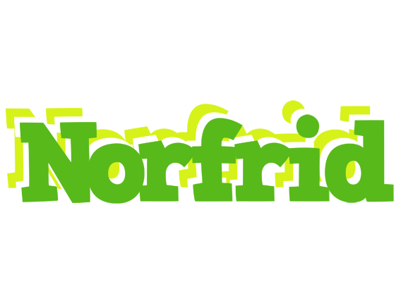 Norfrid picnic logo