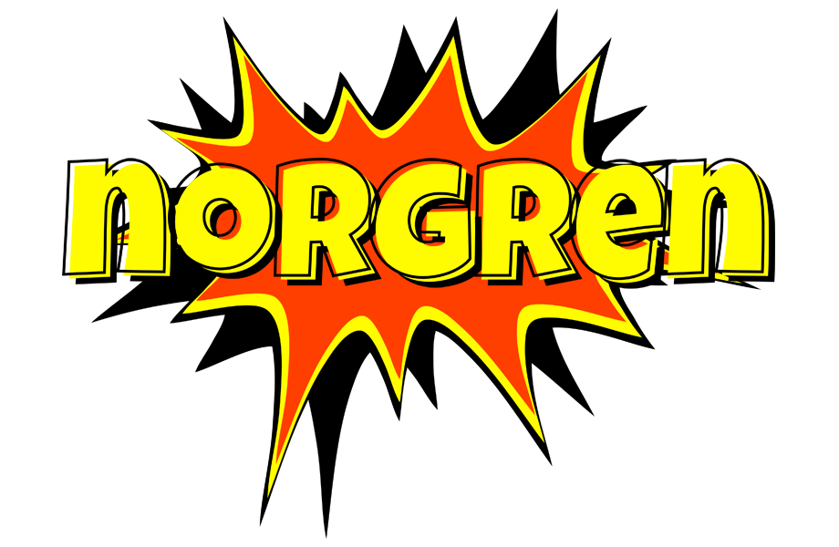 Norgren bazinga logo