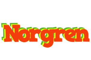 Norgren bbq logo