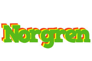 Norgren crocodile logo