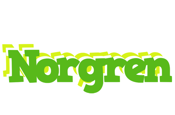 Norgren picnic logo