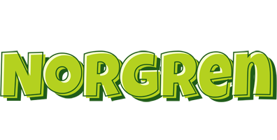 Norgren summer logo