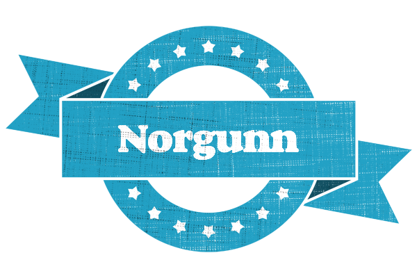 Norgunn balance logo