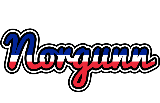 Norgunn france logo