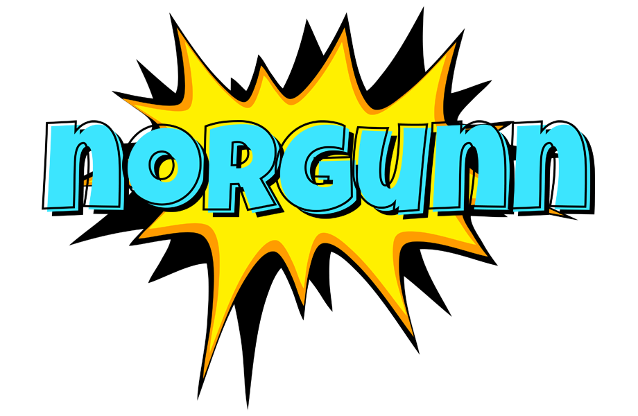 Norgunn indycar logo