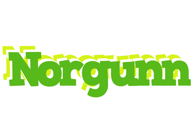 Norgunn picnic logo