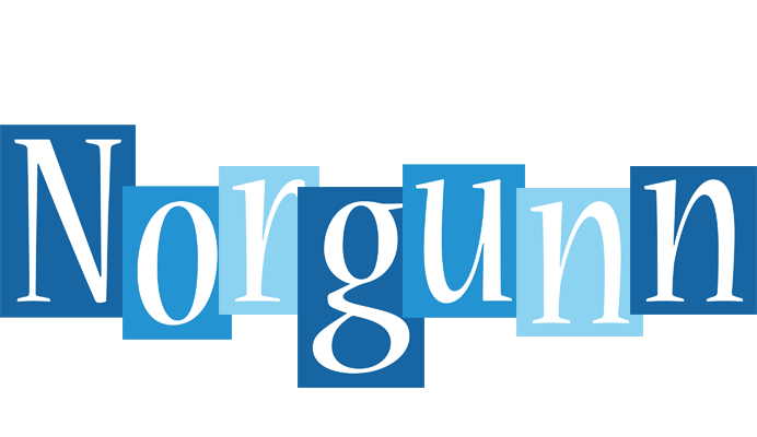 Norgunn winter logo