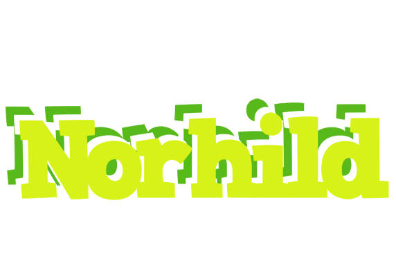 Norhild citrus logo