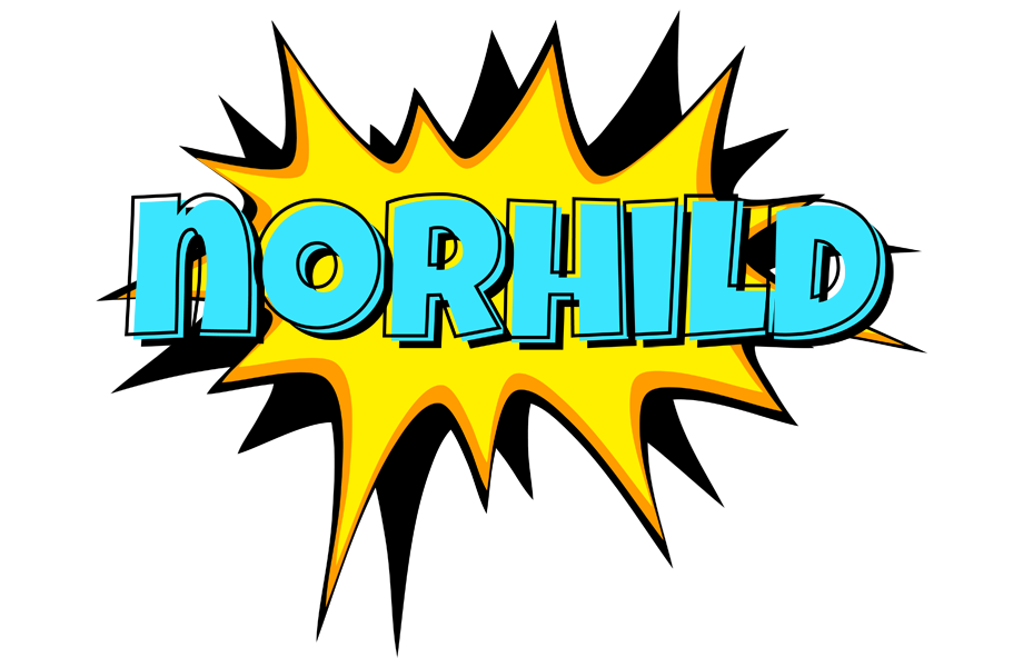 Norhild indycar logo