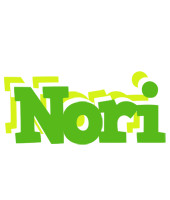 Nori picnic logo