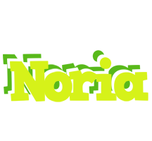 Noria citrus logo