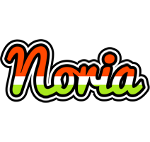 Noria exotic logo