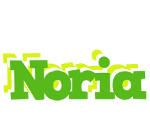 Noria picnic logo