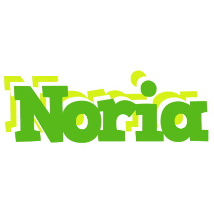 Noria picnic logo