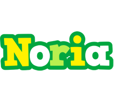 Noria soccer logo