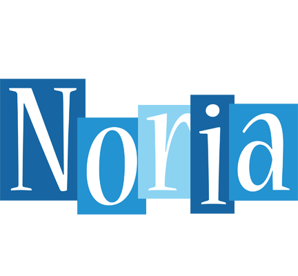 Noria winter logo