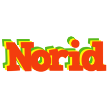 Norid bbq logo