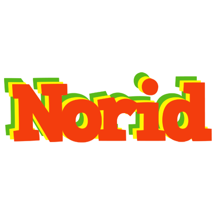 Norid bbq logo