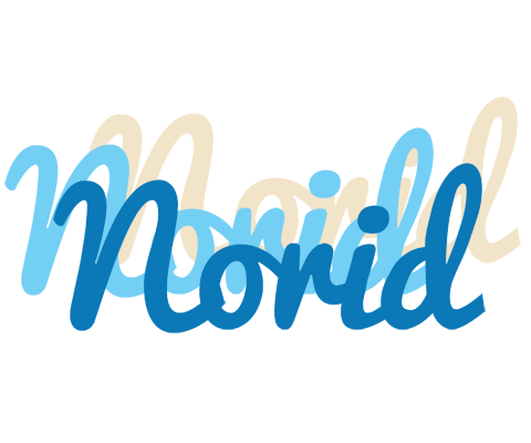 Norid breeze logo