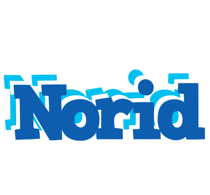 Norid business logo