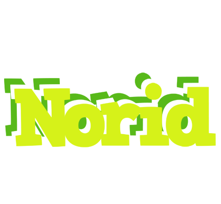 Norid citrus logo
