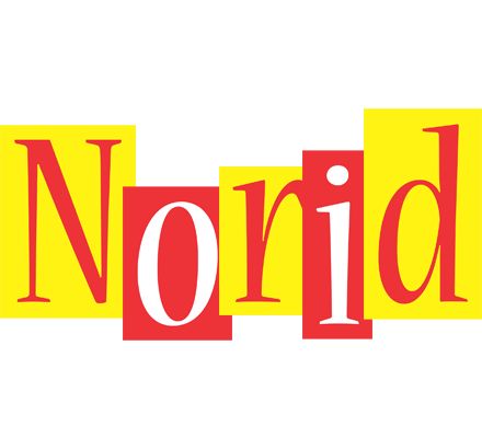 Norid errors logo