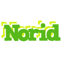 Norid picnic logo