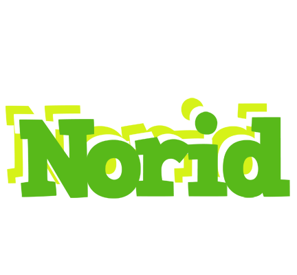Norid picnic logo