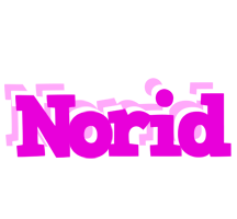 Norid rumba logo