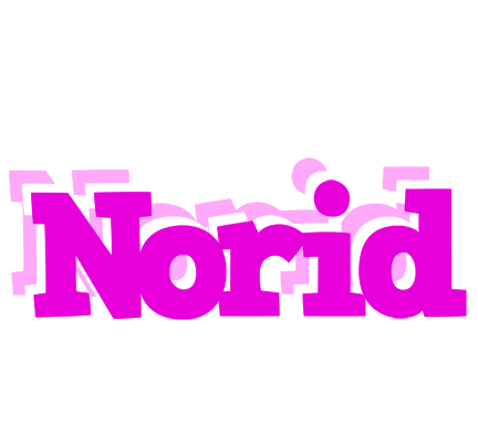 Norid rumba logo