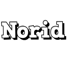 Norid snowing logo