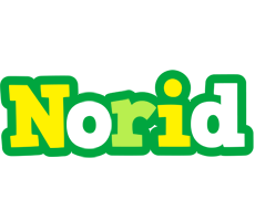 Norid soccer logo