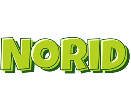 Norid summer logo