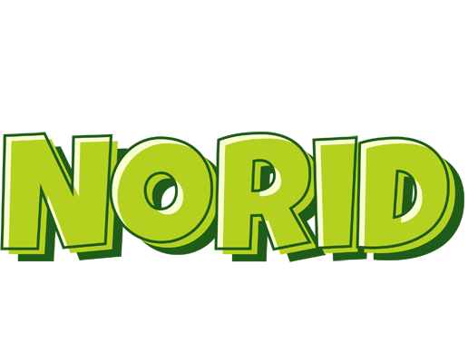 Norid summer logo