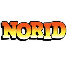 Norid sunset logo