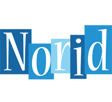 Norid winter logo