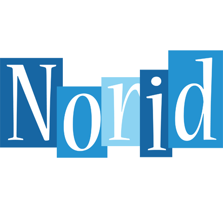 Norid winter logo