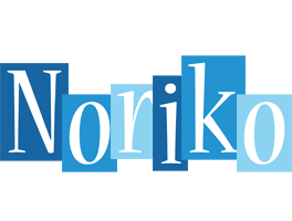 Noriko winter logo