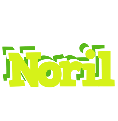 Noril citrus logo