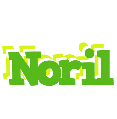 Noril picnic logo