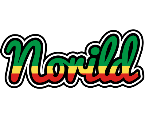Norild african logo