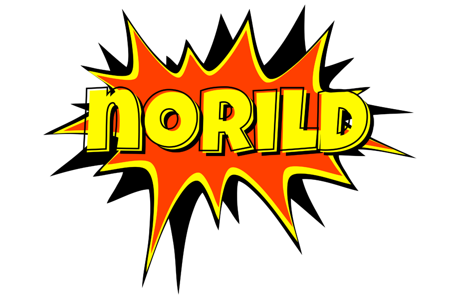 Norild bazinga logo