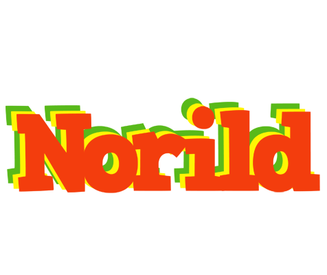 Norild bbq logo